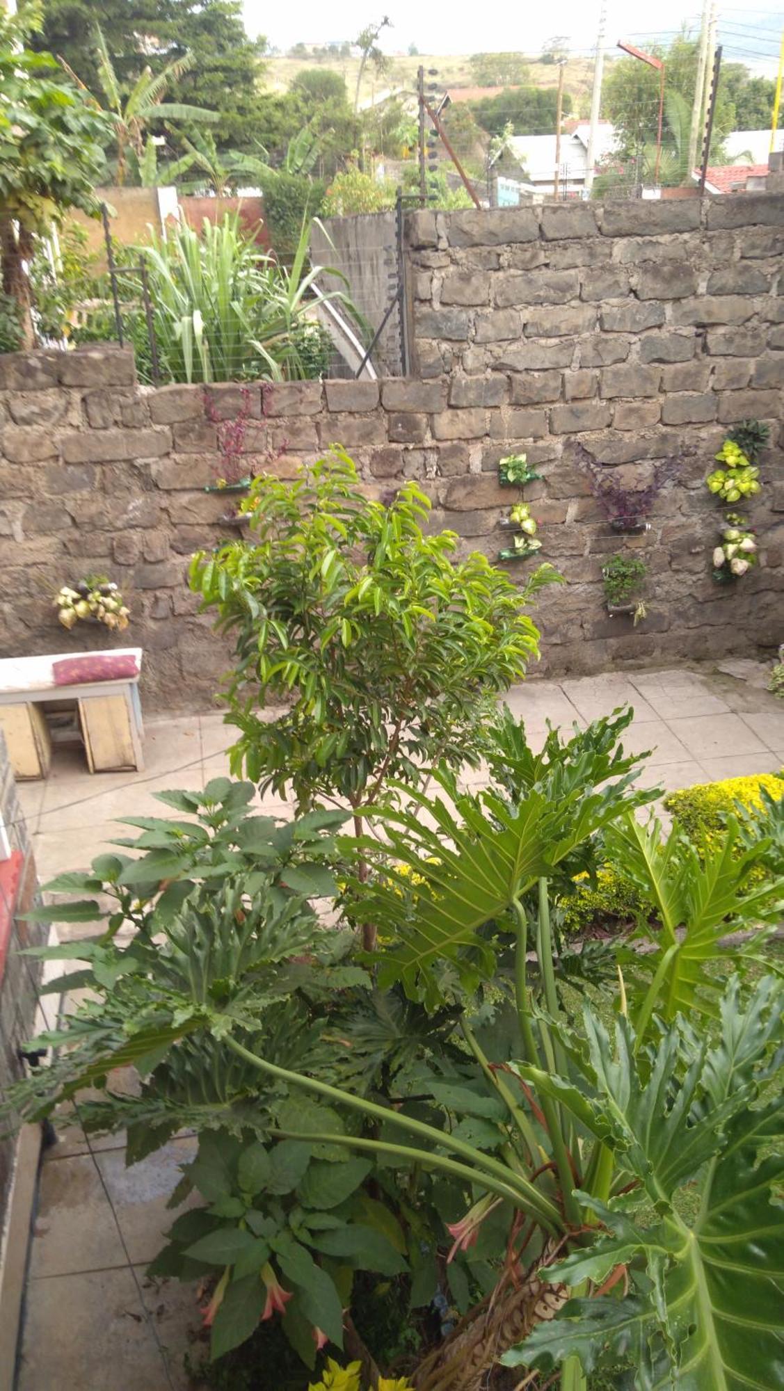 Bernkish Homes Nakuru Værelse billede